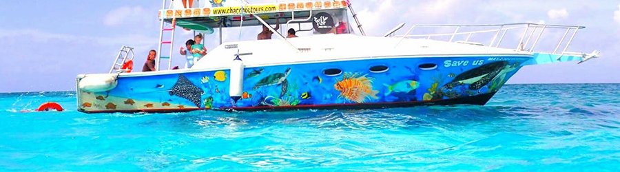 El Cielo, Palancar & Colombia Reef Snorkeling Tour 3