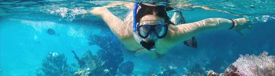 El Cielo, Palancar & Colombia Reef Snorkeling Tour 8