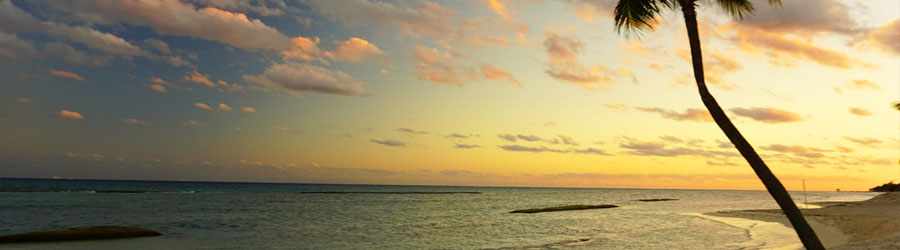 Cozumel Private Cancun Express 1