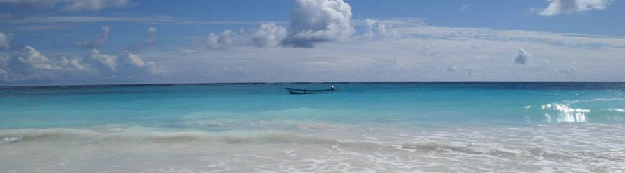 Cozumel Private Cancun Express 3