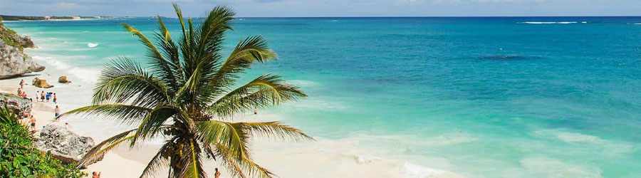 Cozumel Private Cancun Express 7