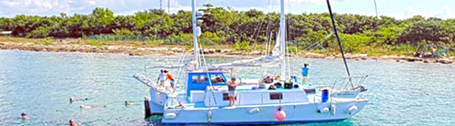 Private Catamaran Sailing & 2-Reef Snorkeling Excursion 2