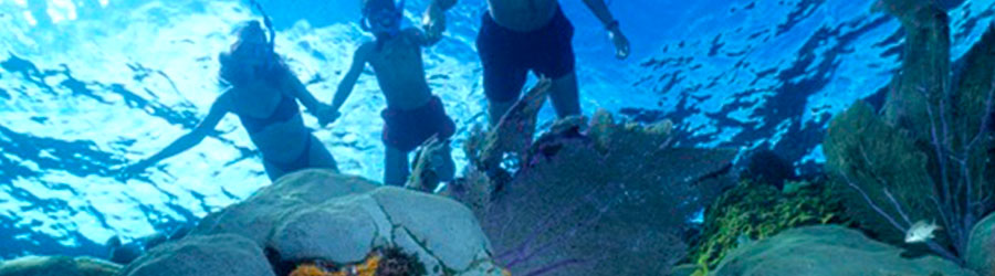 Private Catamaran Sailing & 2-Reef Snorkeling Excursion 6