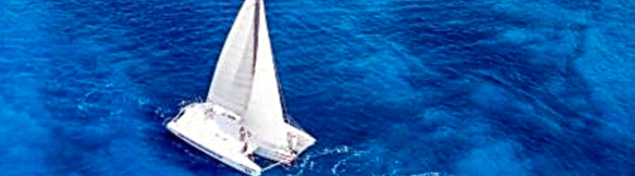 Private Catamaran Sailing & 2-Reef Snorkeling Excursion 7