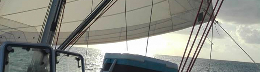 Private Luxury Sailing & Snorkeling in Cozumel 8