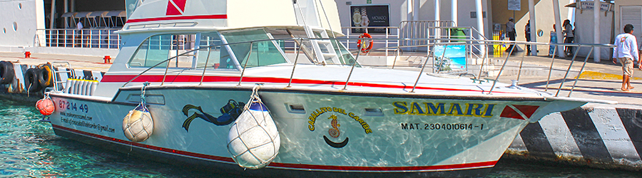 Private 48' Beltran Boat Charter in Cozumel 8