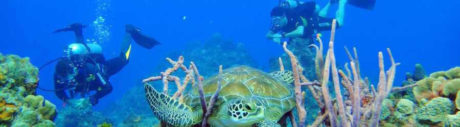PADI Open Water Referral Course 1