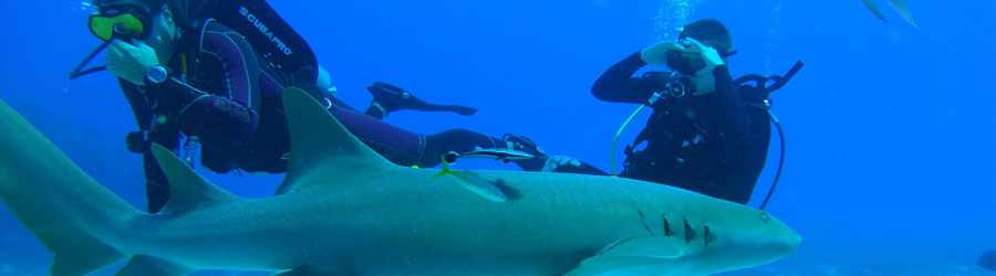 PADI Open Water Referral Course 2
