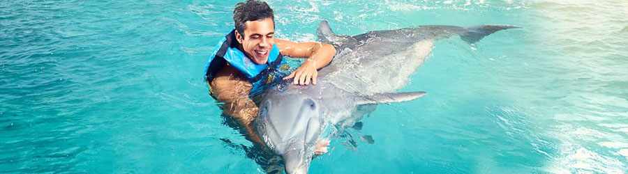 Royal Dolphin Swim Cozumel 2