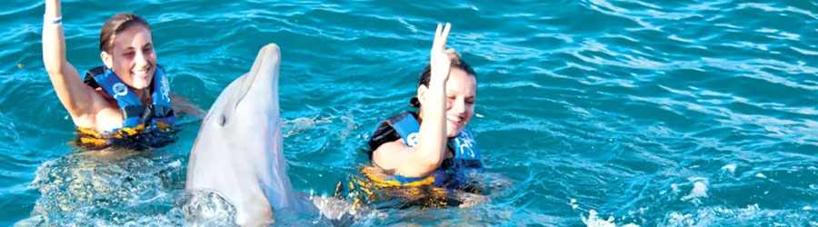 Royal Dolphin Swim Cozumel 6