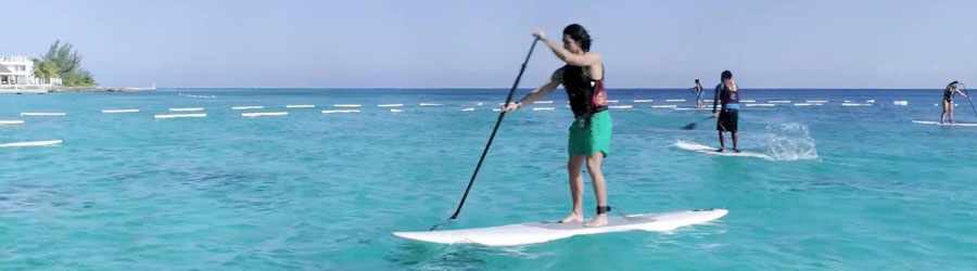 SUP Paddle Boardng & Stingray Snorkel in Cozumel 2