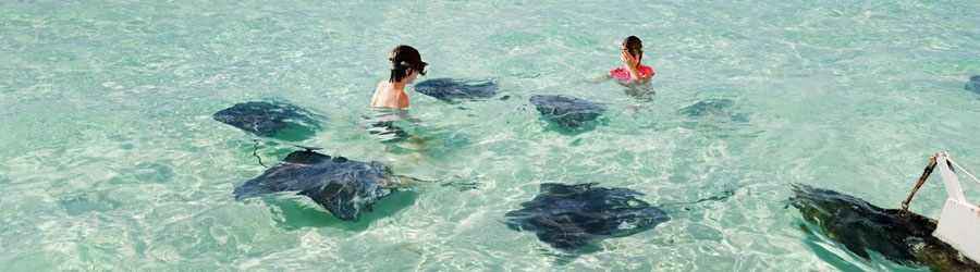 SUP Paddle Boardng & Stingray Snorkel in Cozumel 5