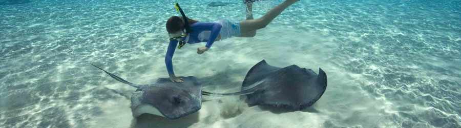SUP Paddle Boardng & Stingray Snorkel in Cozumel 7