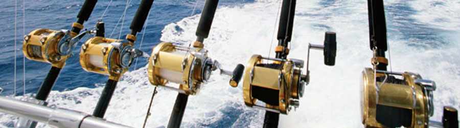 Saltwater Fly Fishing Cozumel 3