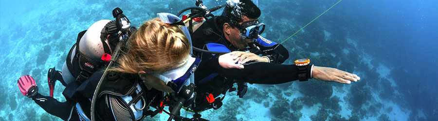 PADI Scuba Refresher Course 3