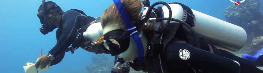 PADI Scuba Refresher Course 7