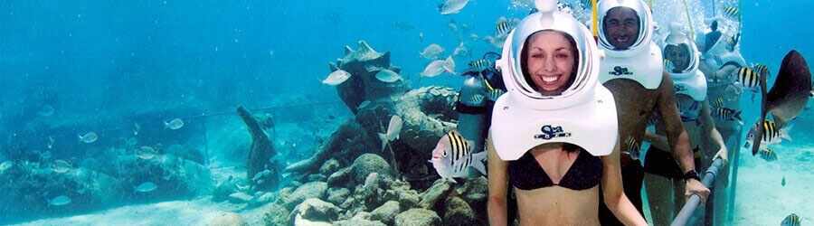 Cozumel Sea Trek Adventure 5