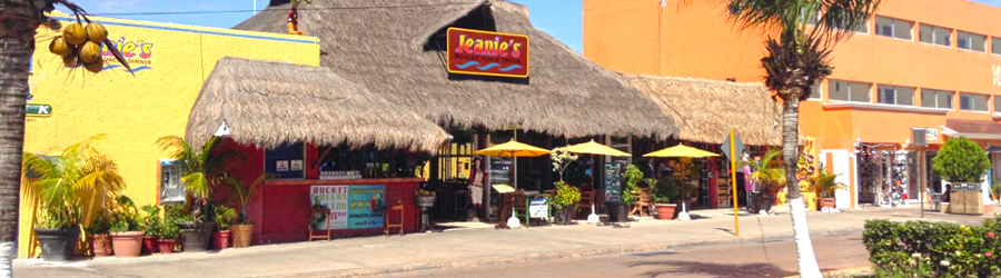 Cozumel Sea Trek Adventure 8