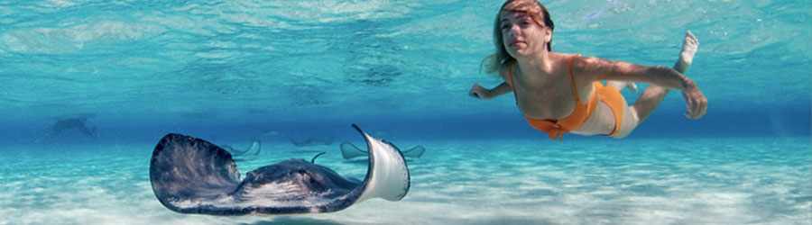 Stingray Encounter & Beach Break in Cozumel 2