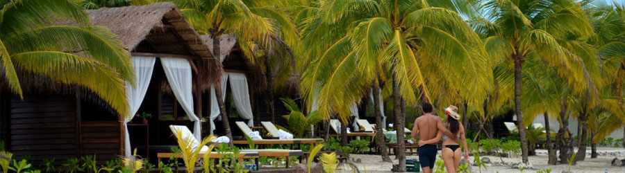 Cozumel Sea Lion Discovery 4