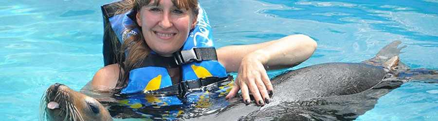 Cozumel Sea Lion Discovery 7