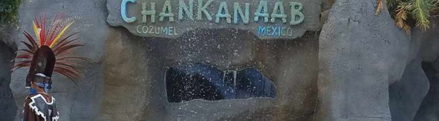 Cozumel Sea Lion Discovery 8