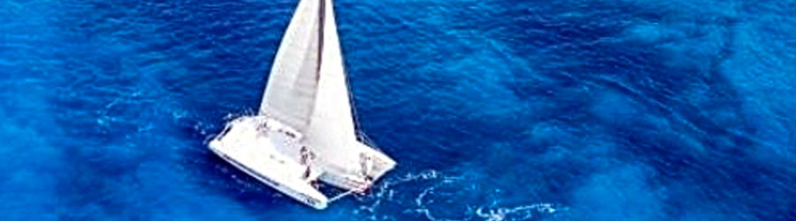 Cozumel Catamaran Sailing & 2-Reef Snorkeling Excursion 4