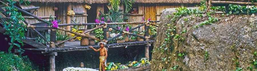 Private Xcaret Express 5