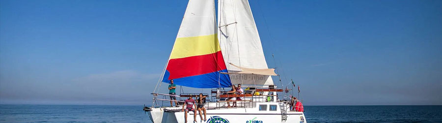 Private Custom Snorkeling or Sunset Sailing Charter 3