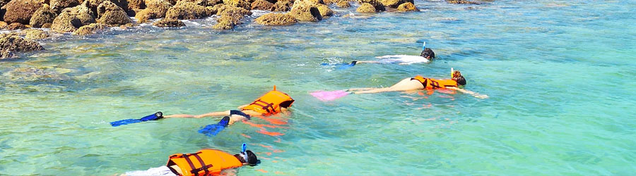 Super Panga Snorkeling Express to Deer Island and Beach Break Adventure 3