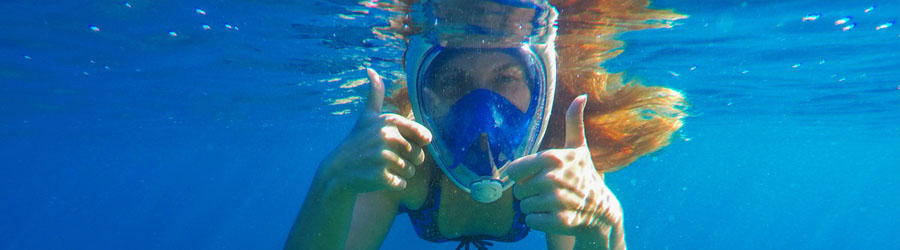 Super Panga Snorkeling Express to Deer Island and Beach Break Adventure 8