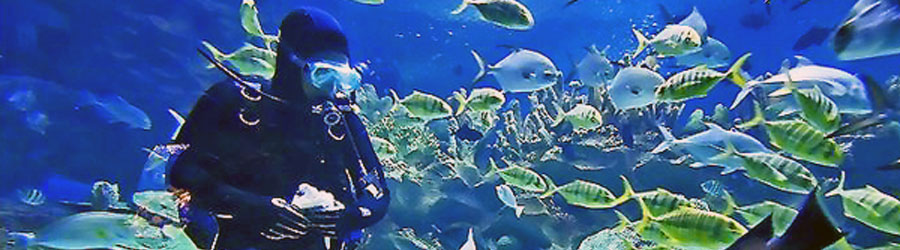 Discover Scuba Diving Course 3