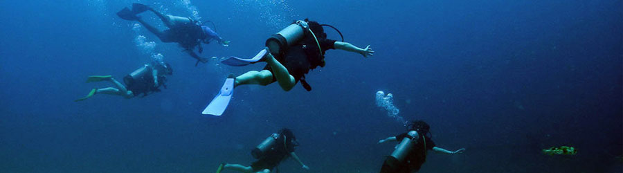 Discover Scuba Diving Course 8