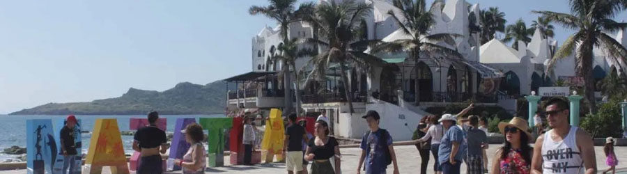 Sierra Madre & Durango Bridge Panoramic Sightseeing Tour 4