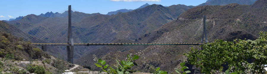 Sierra Madre & Durango Bridge Panoramic Sightseeing Tour 8