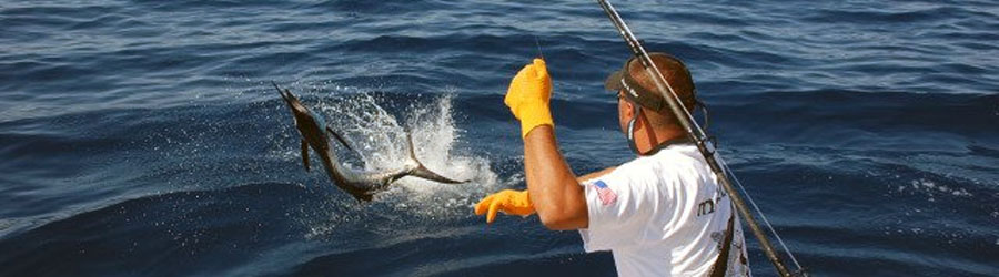Mazatlan Private Full Day Sportfishing Charters 4