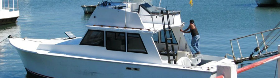 Mazatlan Private Half Day Sportfishing Charters 7