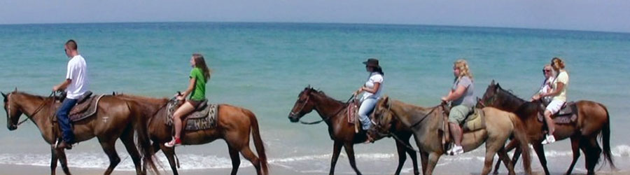 Mexico Pacific Beach Horseback Tour in Stone Island 1