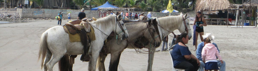 Mexico Pacific Beach Horseback Tour in Stone Island 6