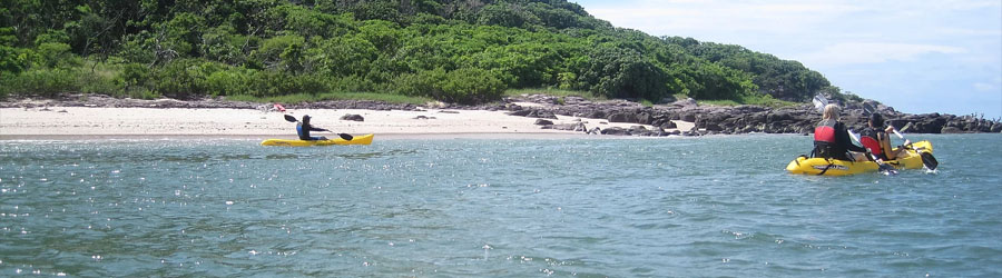 Mazatlan Private Island Snorkeling Expedition Charter 7
