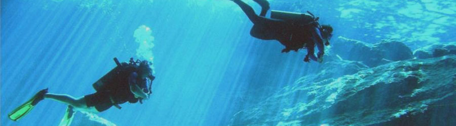 1-Tank or 2-Tank Mazatlan Scuba Diving 2