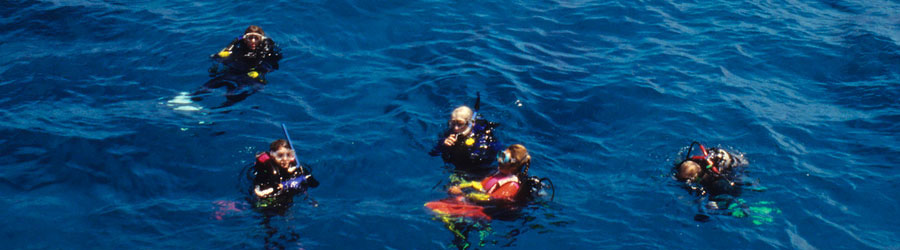 1-Tank or 2-Tank Mazatlan Scuba Diving 3