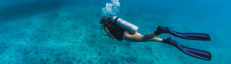 1-Tank or 2-Tank Mazatlan Scuba Diving 6