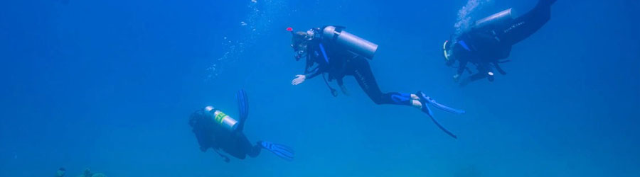 1-Tank or 2-Tank Mazatlan Scuba Diving 7
