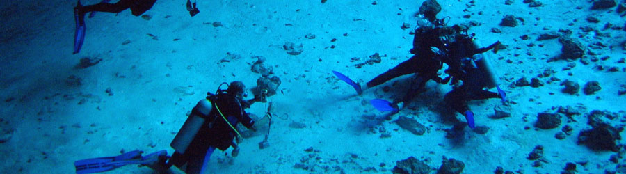 1-Tank or 2-Tank Mazatlan Scuba Diving 8