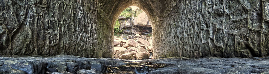 Mexiquillo Mountain National Park & Waterfall Tour 2