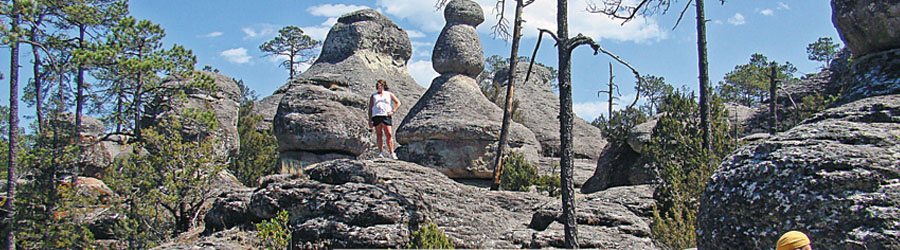 Mexiquillo Mountain National Park & Waterfall Tour 3