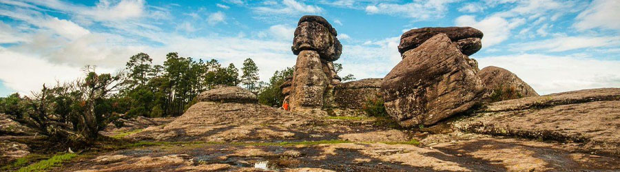 Mexiquillo Mountain National Park & Waterfall Tour 8