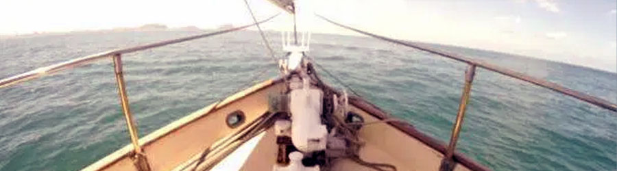 Mazatlan Private Sailing Catamaran Snorkeling in Deer Island 8
