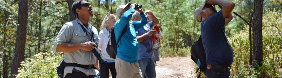 Private Custom Tour 2